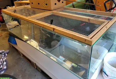 Grosses Glasterrarium zu verkaufen