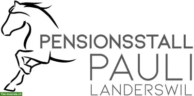 Riesige Pferdeboxe (18m2) mit täglichem Weidegang in Detligen BE