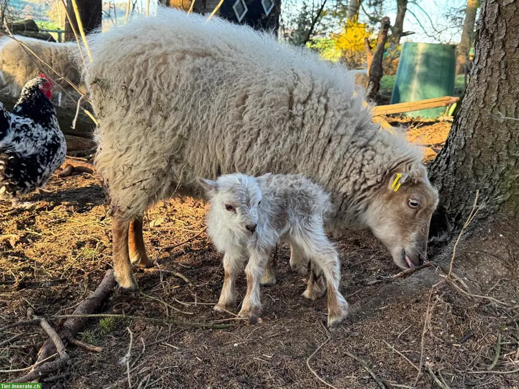 unnamed
