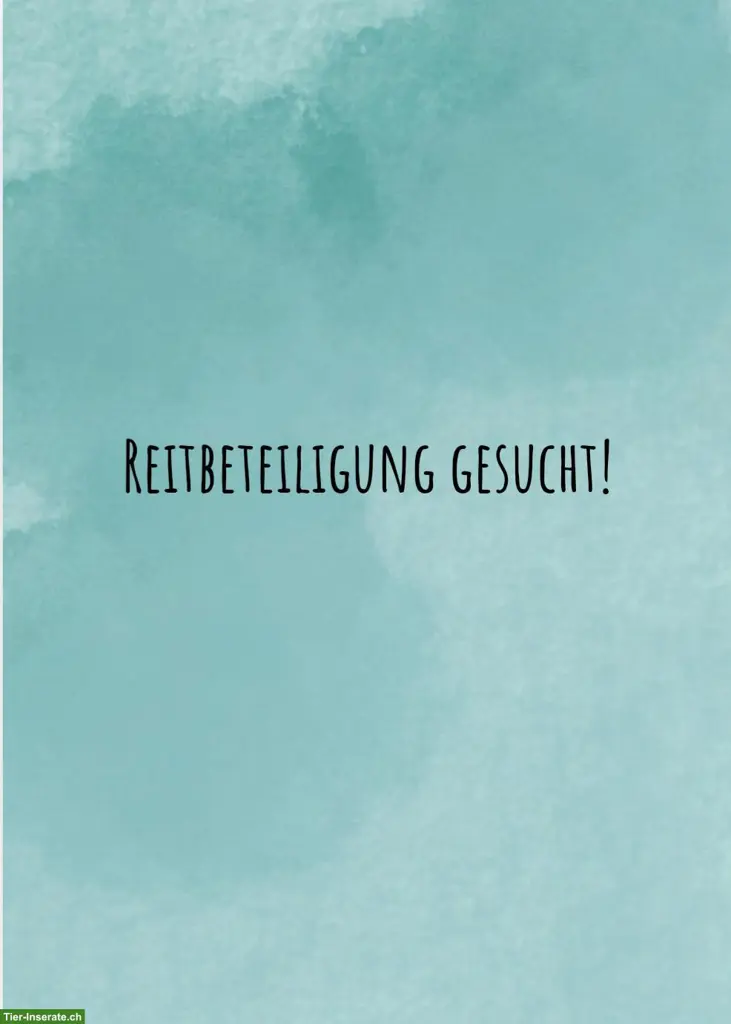 Reitbeteiligung gesucht in Langenthal oder naher Umgebung