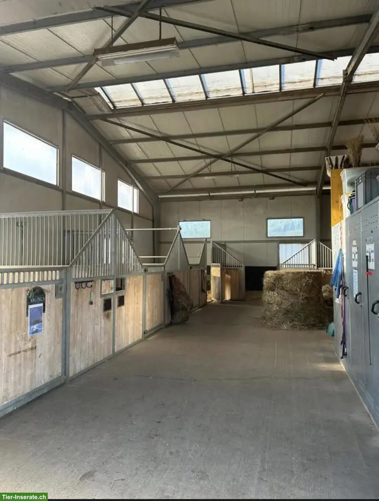 2 Pferdeboxen mit Auslauf in Känerkinden BL