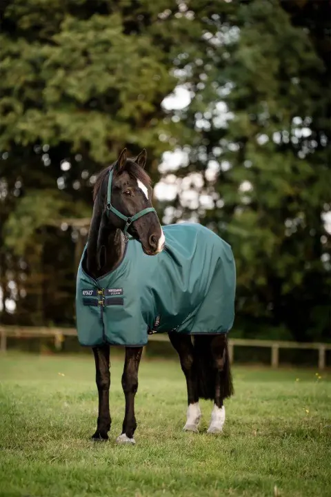 Horseware Amigo Pferdedecke 200g / 140 cm zu verkaufen