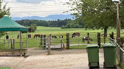 Grosszügige Innenboxen für Ponys, Wallach