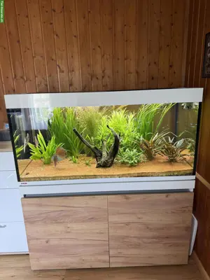 Aquarium Eheim incpiria 430 mit allem Zubehör