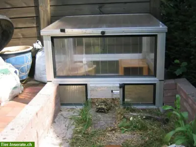 Schildkrötenhaus Flora 100, Frühbeet für Schildkröten, Alltop Plexiglas