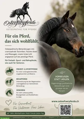 Osteo und Training für Pferde | Region Lyss - Bern - Solothurn
