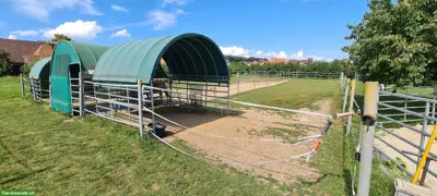 Pferdebox zu vermieten in Epsach BE