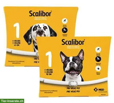 Scalibor Ungeziefer Halsband für Hunde 🐶
