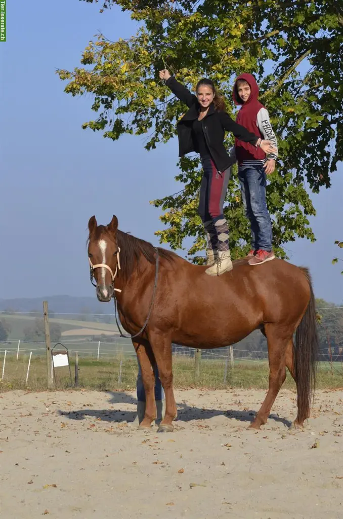 Tiere erleben - für Kinder in Wallbach im Aargau