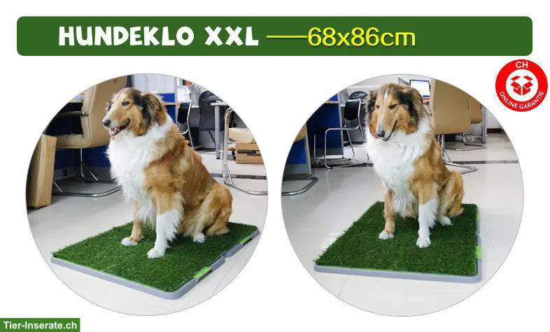 Hundetoilette XXL ideal für Balkon Wohnung