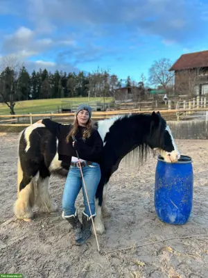 Reitunterricht: Horsemanship Lektionen
