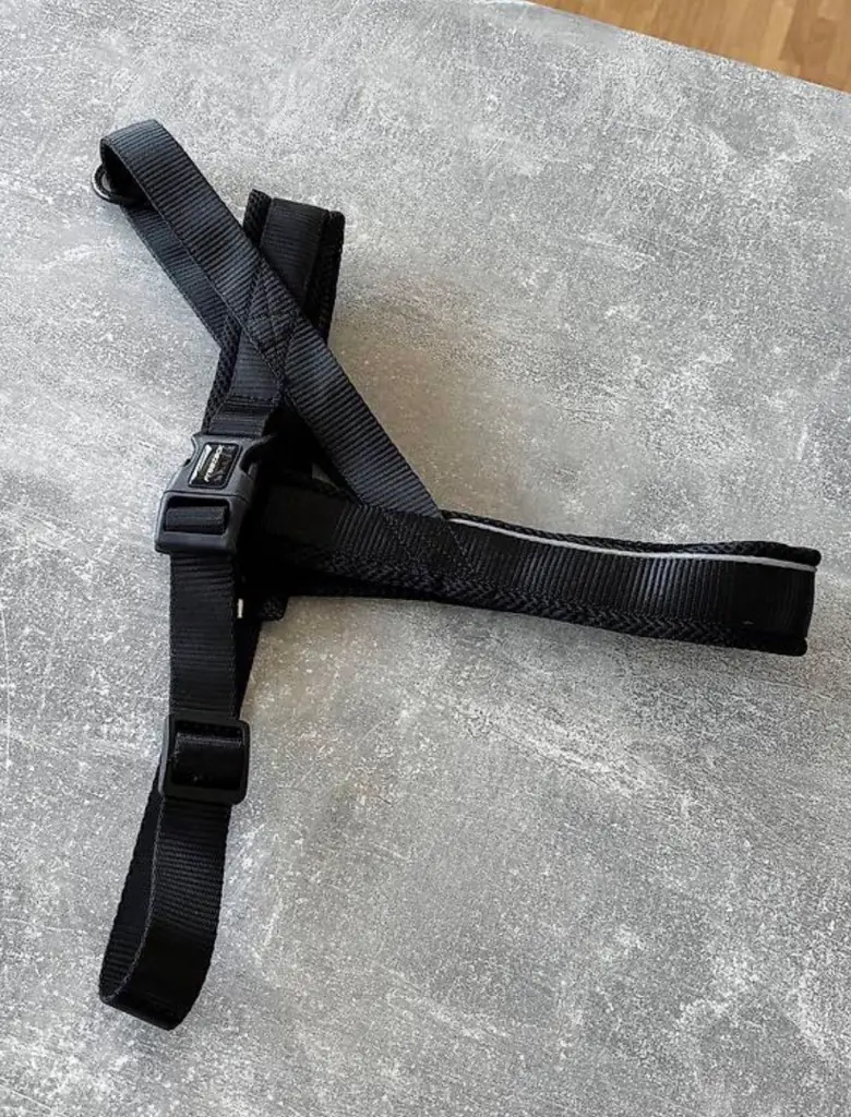 Hundegeschirr Grösse L – Top Zustand