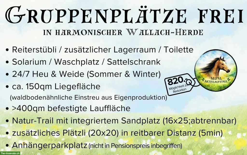 Pensionsplätze frei für Wallache im Aargau