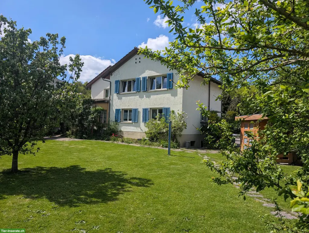 VERKAUF: EFH 6.5-Zimmer für Tierliebhaber mit viel Platz, Hausen AG
