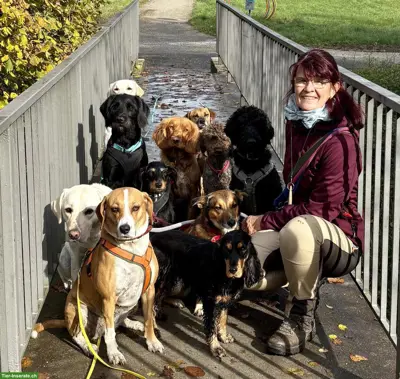 Biete Hundebetreuung Region Andelfingen, Diessenhofen, Ramsen, Buch/SH