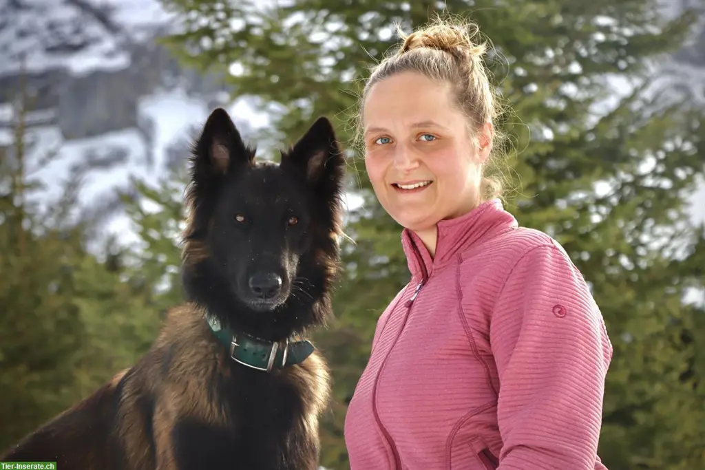 Hundeschule unterwegs in Rotkreuz / Affoltern am Albis und Umgebung
