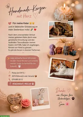 Handmade Tier-Kerzen für Tierarztkasse