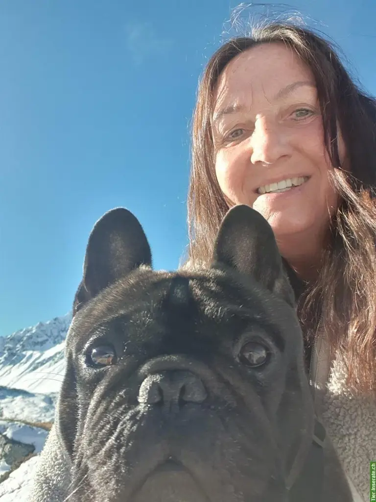 Hunde-Einzelbetreuung Graubünden liebevoll und zuverlässig
