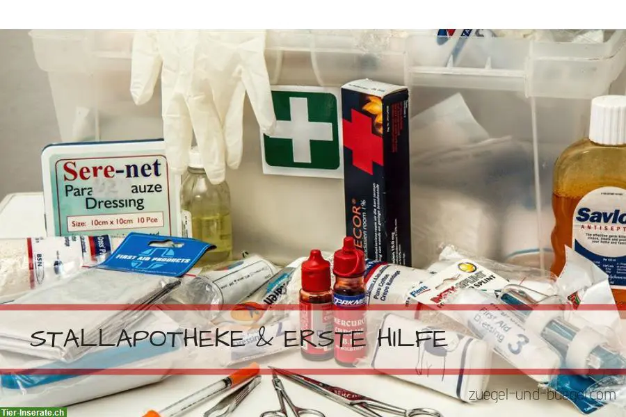 Stallapotheke Erste Hilfe Checkliste – kostenloser Download!