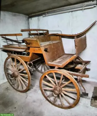 Einspänner-Kutsche / Bernerwagen "Break" zu verkaufen