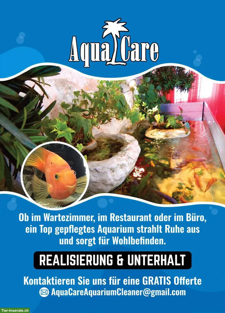 Der Pflege Service für Ihr Aquarium im Kanton Zürich