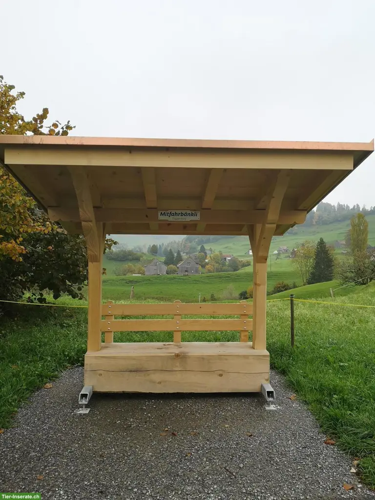 GESUCHT: altes Haus, Ebnat-Kappel, Krummenau, Nesslau