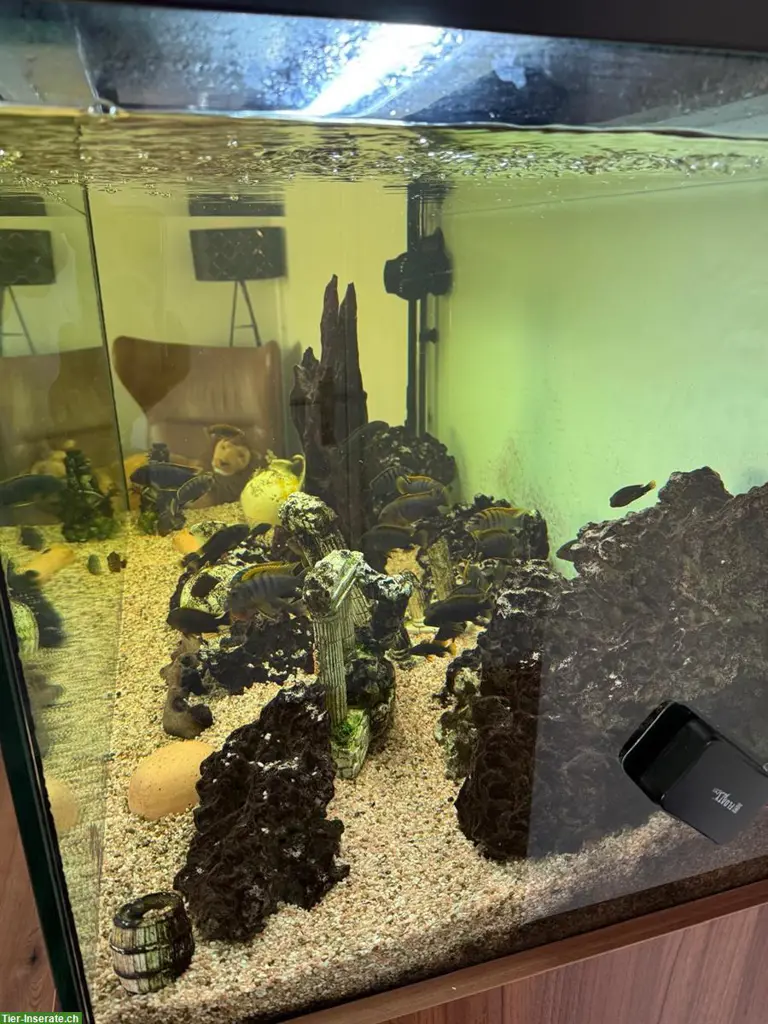 unnamed