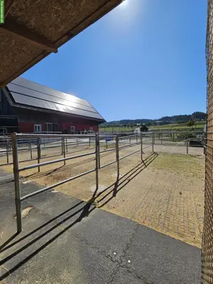 Große Auslaufbox zu vergeben in Gossau SG