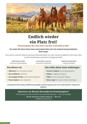 Pferdepensionsplatz frei für Stute in Birr AG 🐴