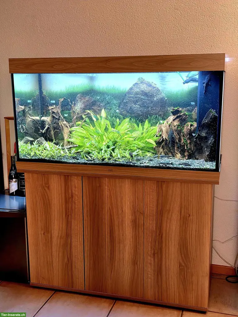 Juwel Rio 350 Aquarium mit Unterschrank - Komplett oder Leer