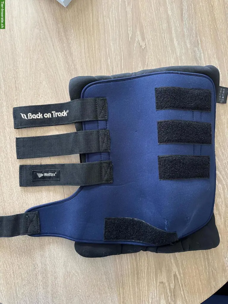 Back on Track Stall-Gamaschen Gr. L zu verkaufen