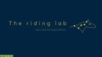 Riding Lab: Training, das wirkt 🧪