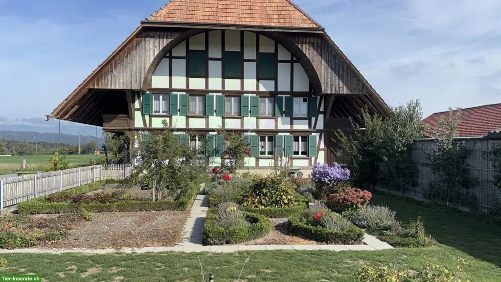 Bauernhaus zu vermieten