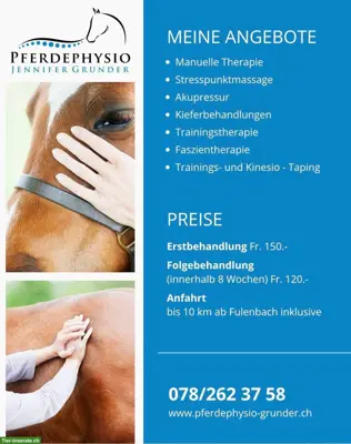 Pferdephysiotherapie in Fulenbach SO
