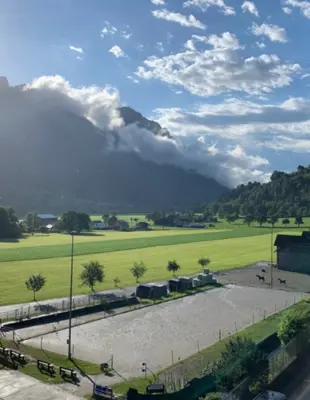 Sie suchen Wintertrainingsplätze oder Ruheboxen für Ihr verletztes Pferd?