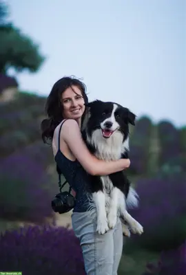 Trainerin oder Dogsitterin mit Erfahrung sucht Arbeit mit Hunden
