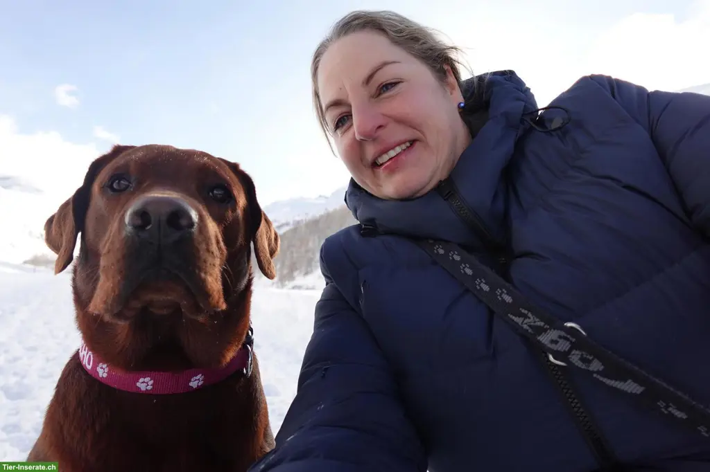 Petsitting: Tages- und Ferienbetreuung bei Tane in Thörishaus
