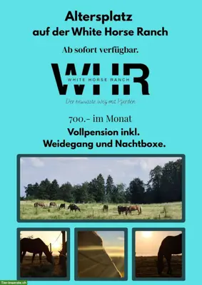 Platz auf Altersweide für Pferde im Aargau
