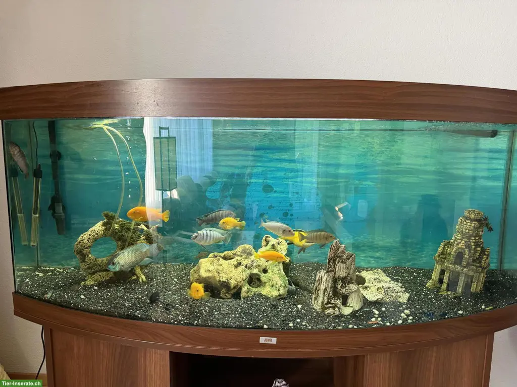 Juwel Aquarium Komplettset mit Unterschrank