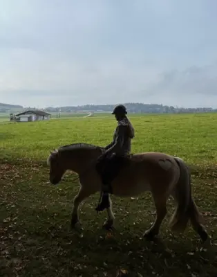 Reiterin sucht Reitbeteiligung