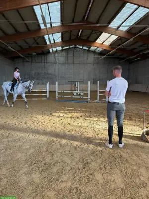 Reitunterricht/Reitschule auf Hof in Mägenwil AG