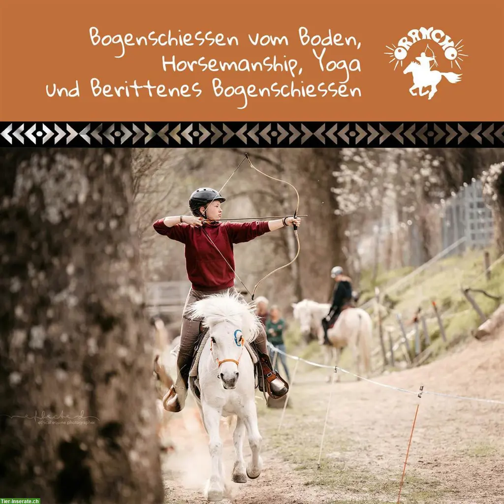 Jugendcamps im berittenen Bogenschiessen