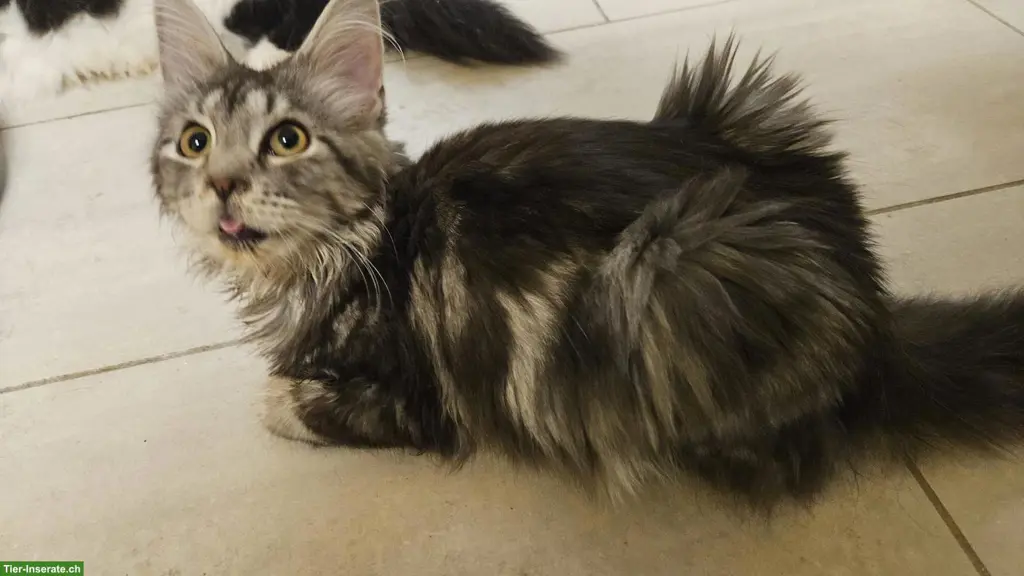 unnamed