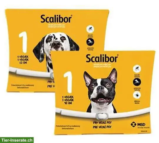 Scalibor Ungeziefer Halsband für Hunde 🐶