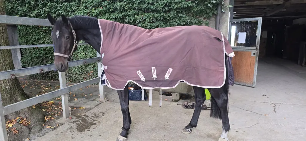 HORSEWARE AMIGO BRAVO, 400g, 140cm