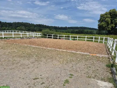 1-2 Plätze in Offenstall zu vermieten in Andelfingen