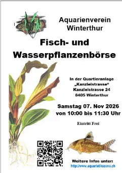 Monatliche Fisch- und Wasserpflanzenbörse in Winterhur