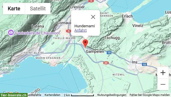 Hundemami | Tages- & Ferienbetreuung für kleine Hunde im Seeland