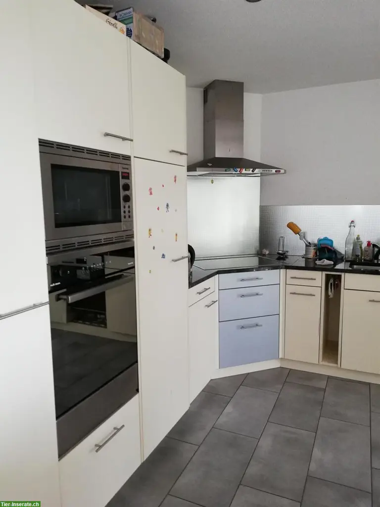 4.5 Zimmer Wohnteil mit Pferdestall zu vermieten, 5046 Schmiedrued