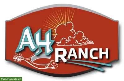 Freie Pferde-Pensionsplätze auf der AH Ranch in Gams SG